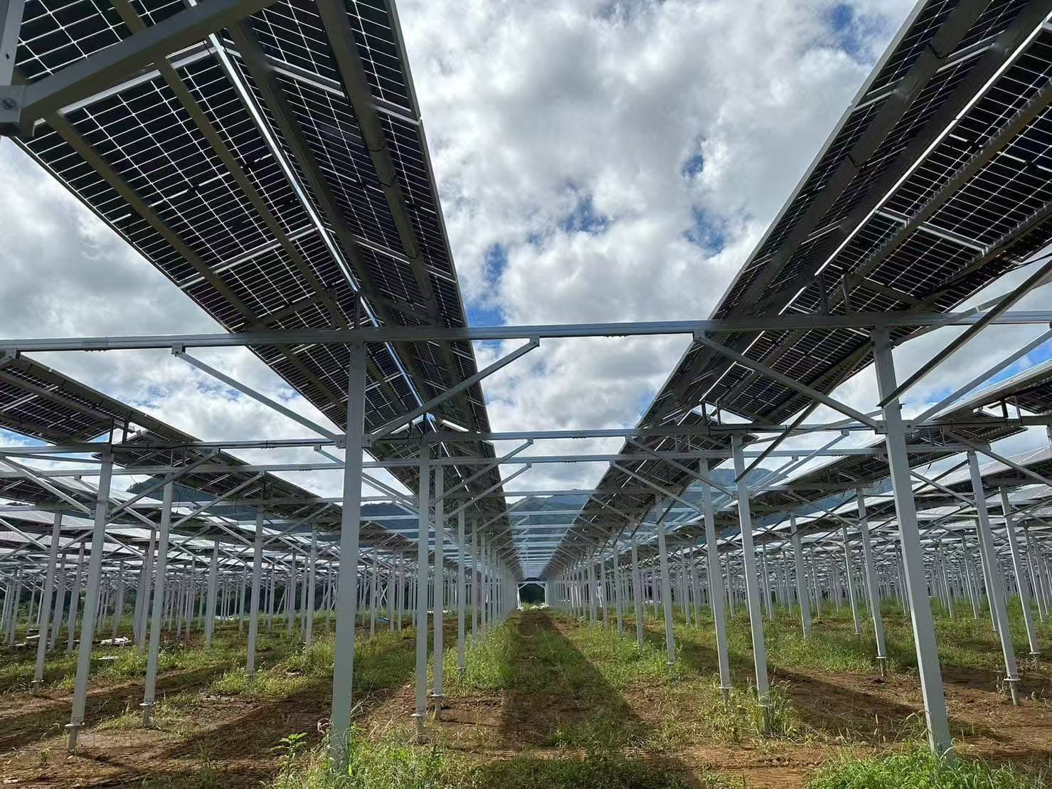 Prednosti podpore kmetijskih hlevov