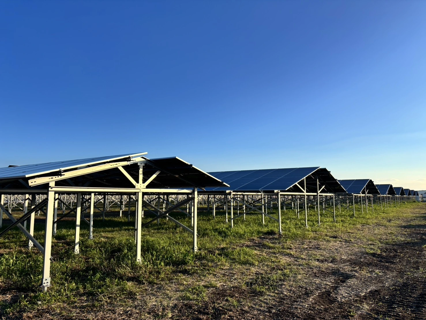 Aluminum Greenhouse Solar Farmland Mount